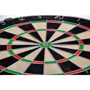 Spick Real Dart M Bristleboard | Carromco