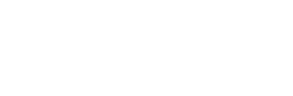 Logo | Carromco